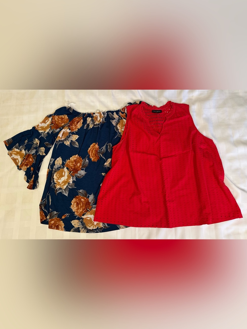 ❤️💙 Bundle of 2 3X tops! Lane‎ Bryant and Emerald